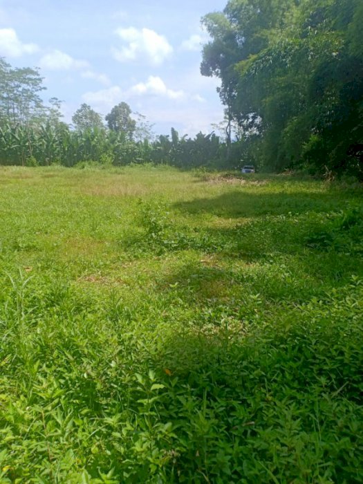 Tanah Dijual di Desa Sumberkradenan, Pakis, Malang