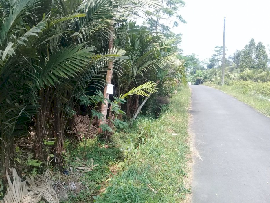 TANAH DIJUAL DIKAWASAN DESA WISATA