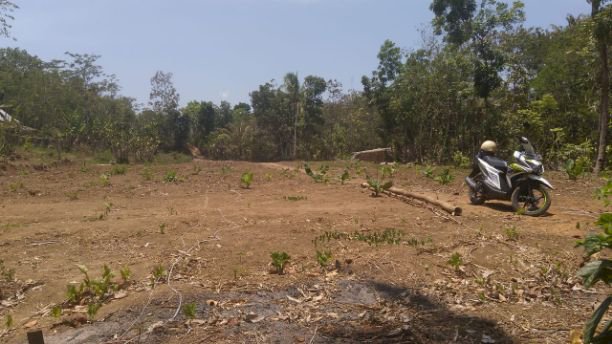 Jual tanah untuk peternakan, pondok pesantren, perumahan