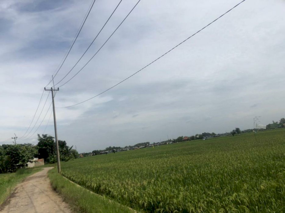Tanah Sawah Sangat Produktif & Strategis