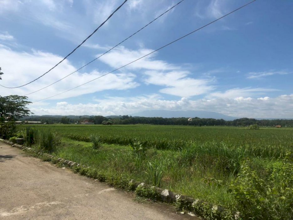 Tanah Sawah Dekat Dengan SPBU