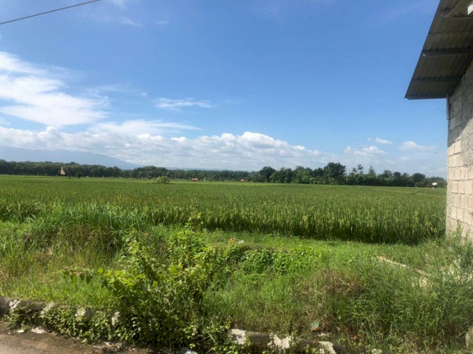 Tanah Sawah Berbatasan Dengan Perumahan Fortuna