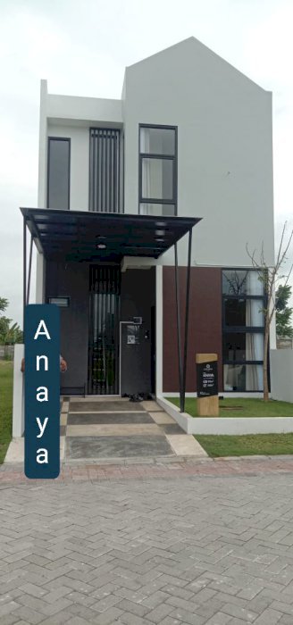 Astonia Parkview type Anaya