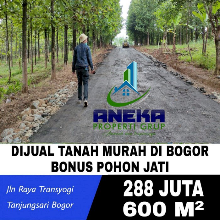 JUAL TANAH 600 METER KAVLING JATI INDAH TRANSYOGI BONUS 60 POHON JATI