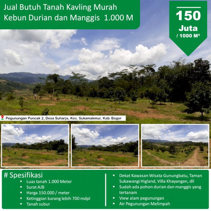 TANAH KEBUN DURIAN MURAH HARGA 100 RIBUAN DI BOGOR timur