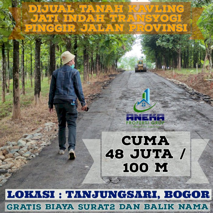 KAVLING JATI DIJUAL CEPAT 480 RB/M2 MINIMAL 100 M2 BONUS 8 POHON JATI