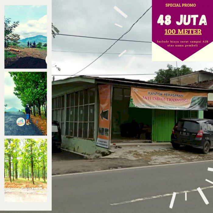 Tanah di jual Murah hanya 48 juta/100 meter bonus pohon jati emas