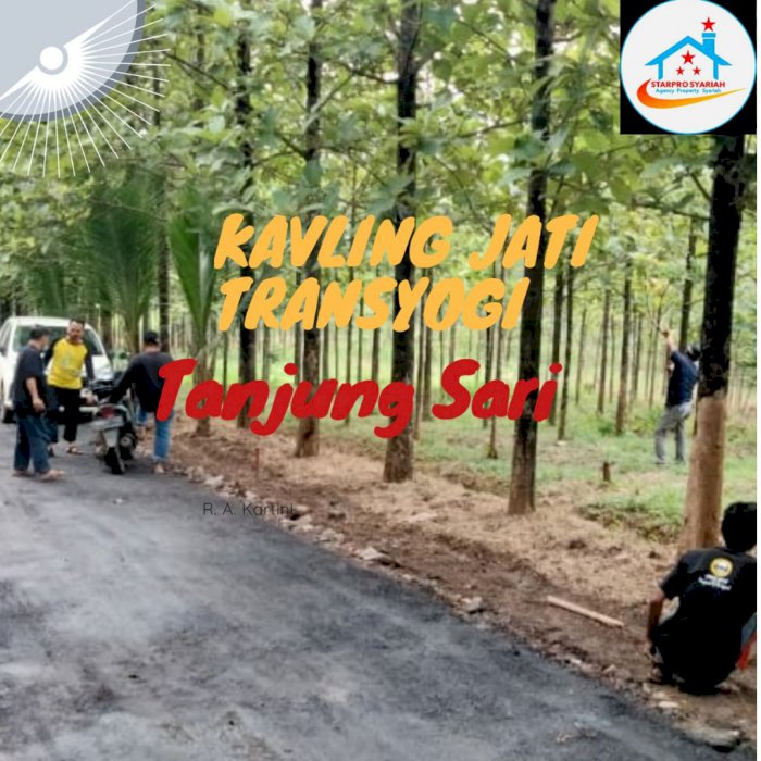 Tanah Murah bonus pohon jati emas usia 10 tahun