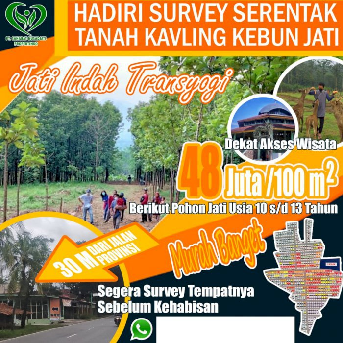 Di jual Tanah Murah pinggir jalan hanya 30 meter