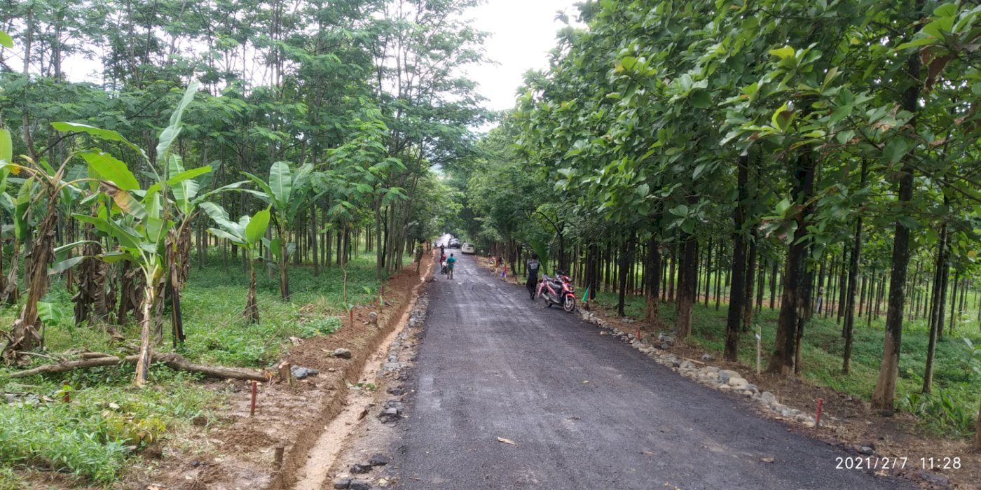 Tanah Murah kavling Jati Indah Transyogi bonus pohon jati