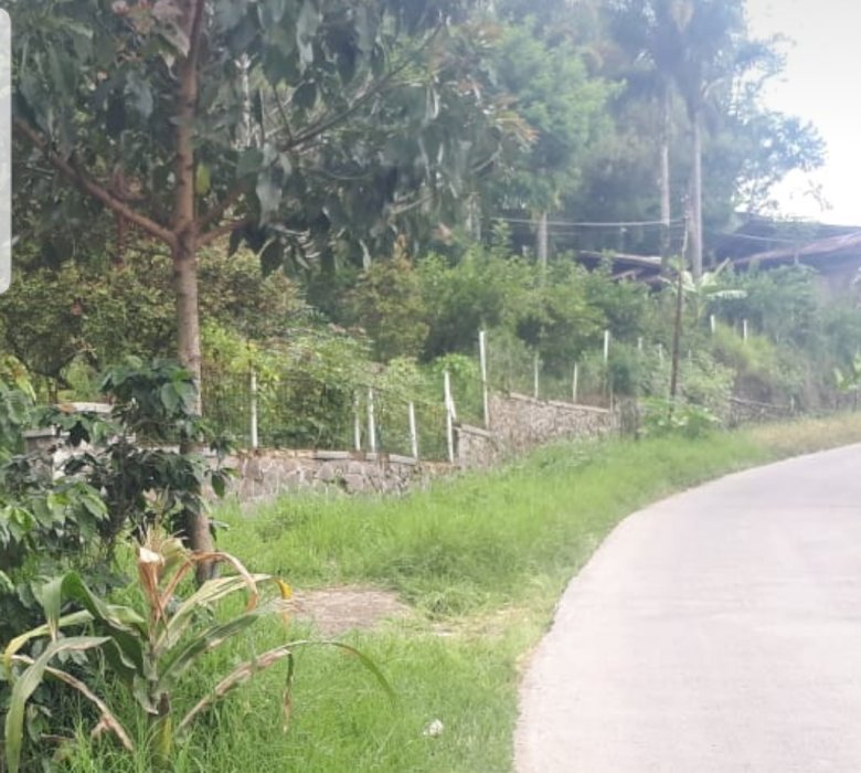 Dijual Tanah Di Ciwidey Bandung Jawa Barat