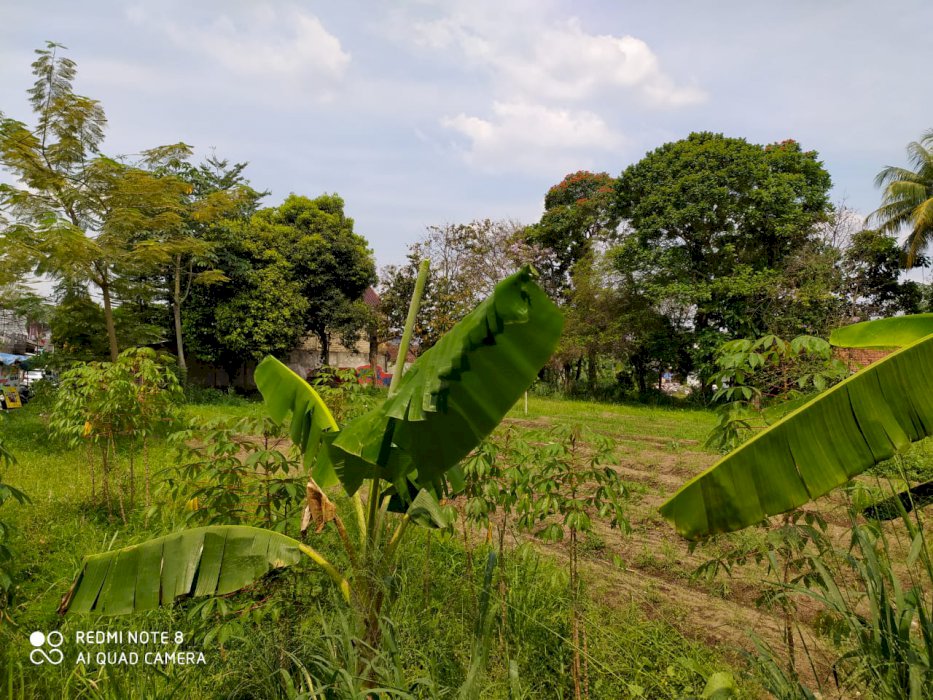 Dijual tanah 1 Hektar Dipinggir Jalan Raya Ciomas Bogor