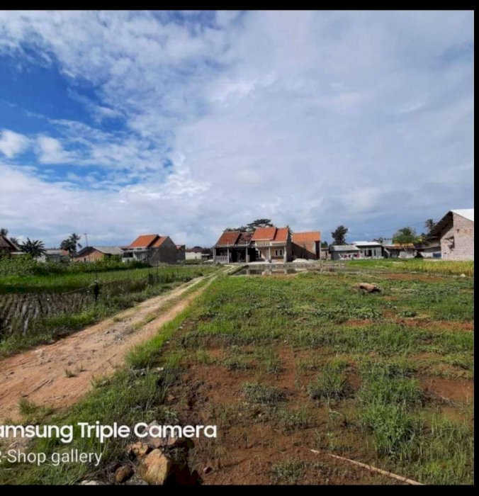 TANAH KAVLING MURAH dahlia