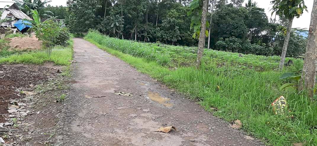 Tanah pribadi jati agung