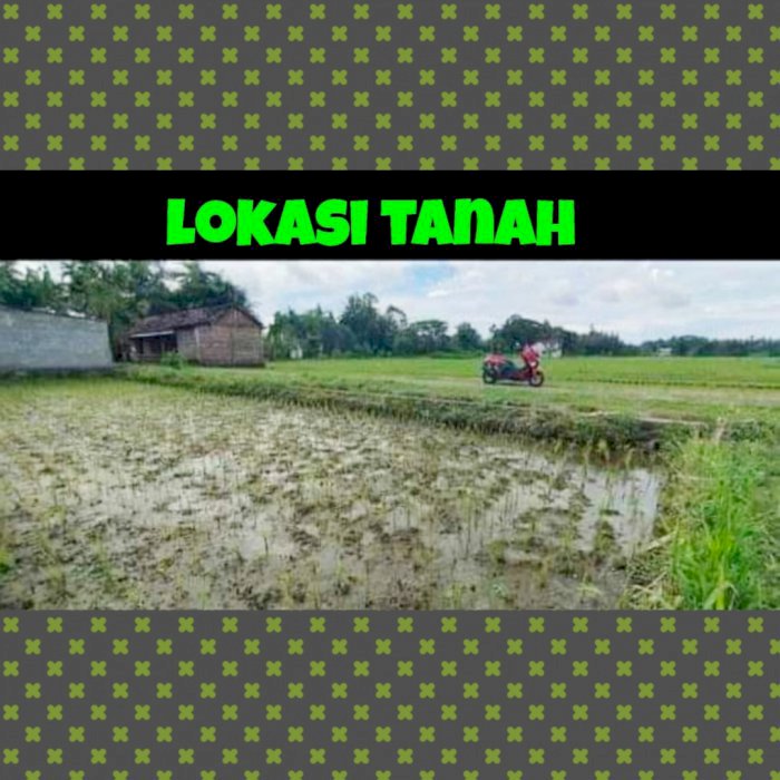 Di jual tanah dekat pondok AL IMDAD Pandak Bantul yogyakarta