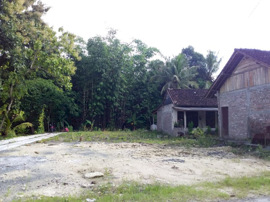 Jual tanah murah di jalakan Triharjo Pandak Bantul yogyakarta