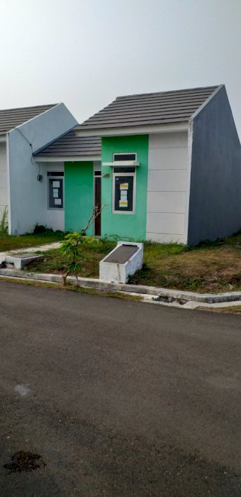 Cluster parklane type hook citra maja