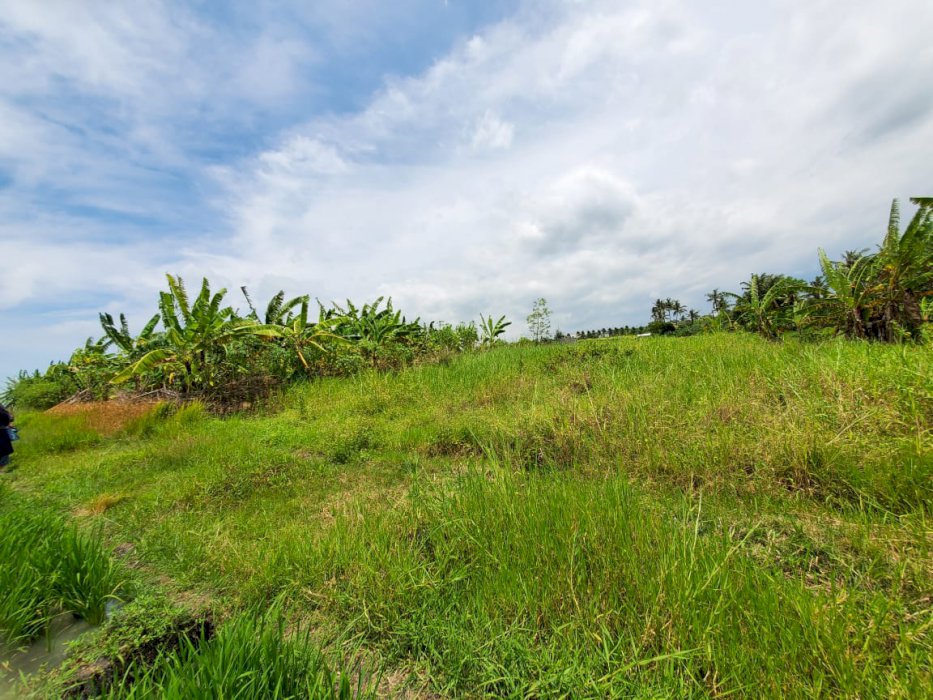 For sale tanah nice view lok pererenan