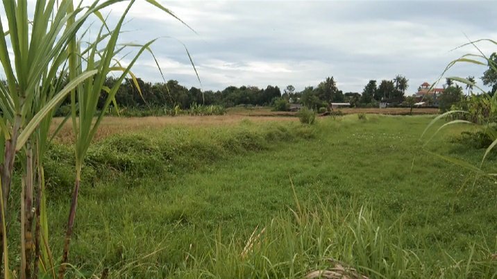 Land for sale tumbak bayuh 15,5are