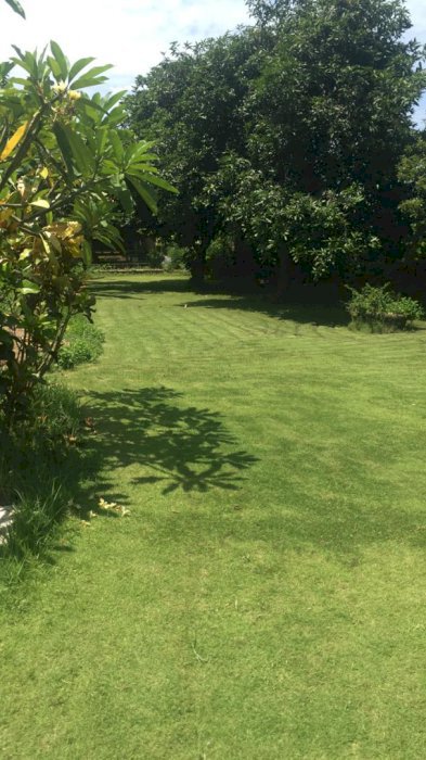 Di Jual tanah 10 are  (1000 sqm)