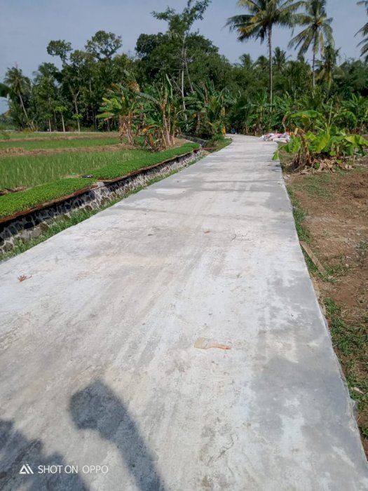 Tanah pemandangan sawah bukit menoreh dan deket bandara yia