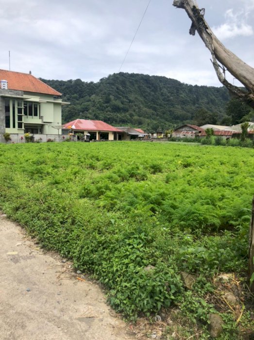 Land for sale bedugul
