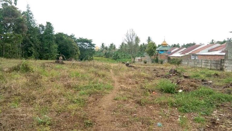 TANAH KAVLING rolya hajimena