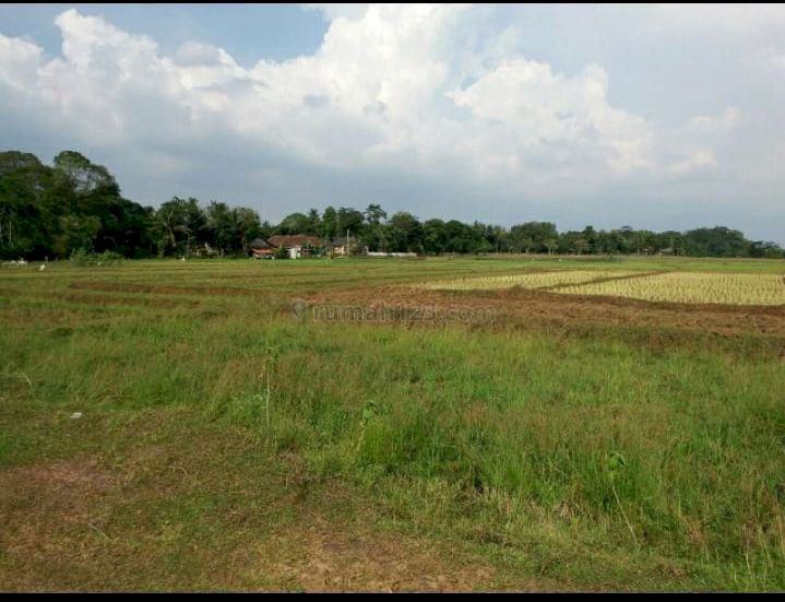 TANAH UNTUK PERUMAHAN DAN GUDANG DI TIGARAKSA