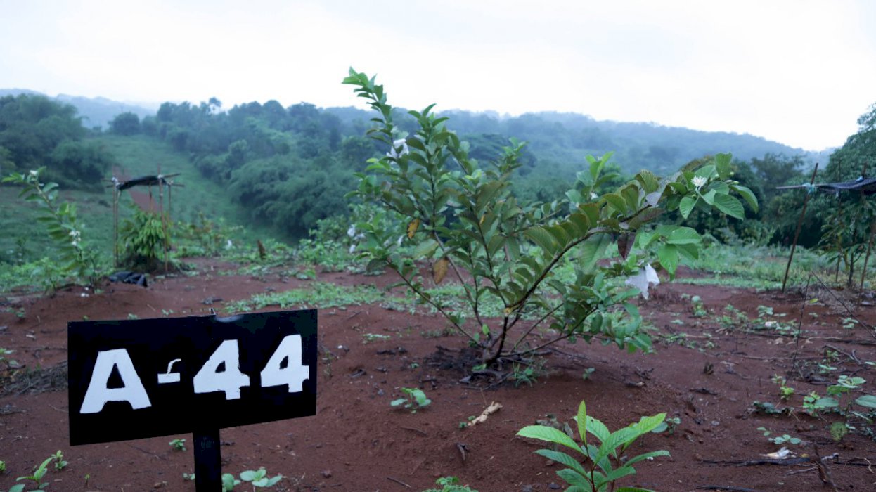Kavling Kebun Produktif di Kawasan Pesantren