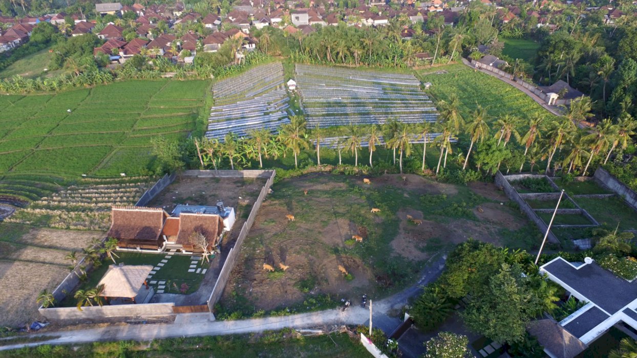 Peluang Investasi Terbaik Tanah untuk Disewakan