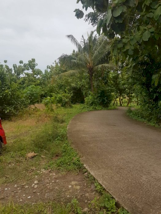 Miliki ptoperty untuk masa depan dihari tua