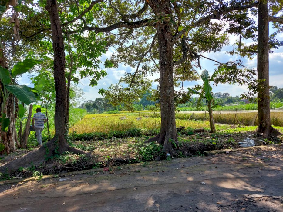 DIJUAL TANAH STRATEGIS DI SLEMAN YOGYAKARTA