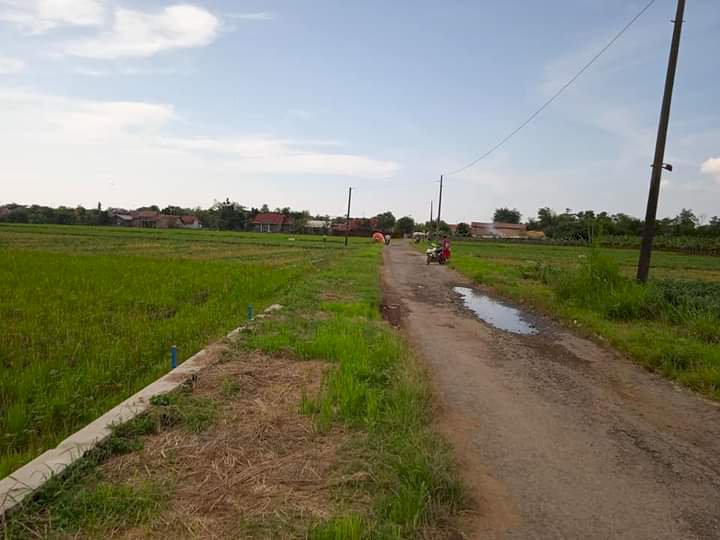 Kavling Bagus Murah Karangsambung Losari Brebes Jawa Tengah