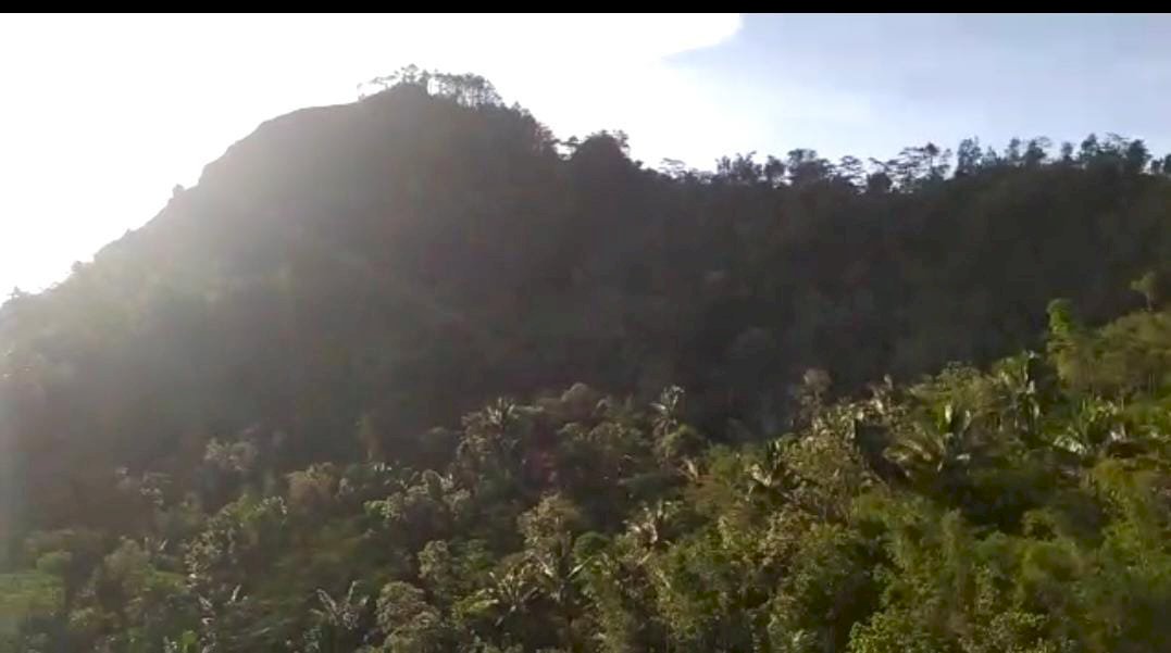 Tanah murah mngku jln bedah menoreh