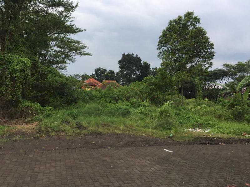 Tanah Dijual di Jalan Teluk Etna, Arjosari, Malang GMK00063