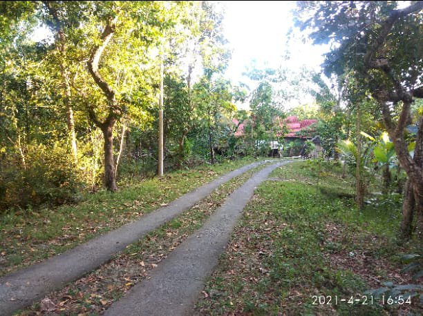 Tanah murah triwidadi pajangan bantul