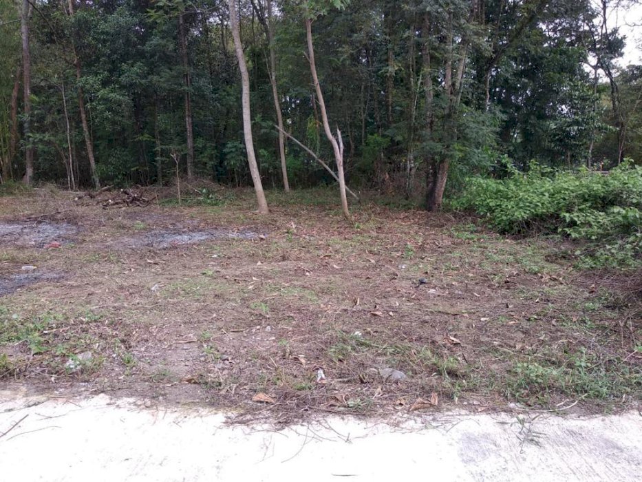 Tanah Kapling Purwomartani Yogyakarta