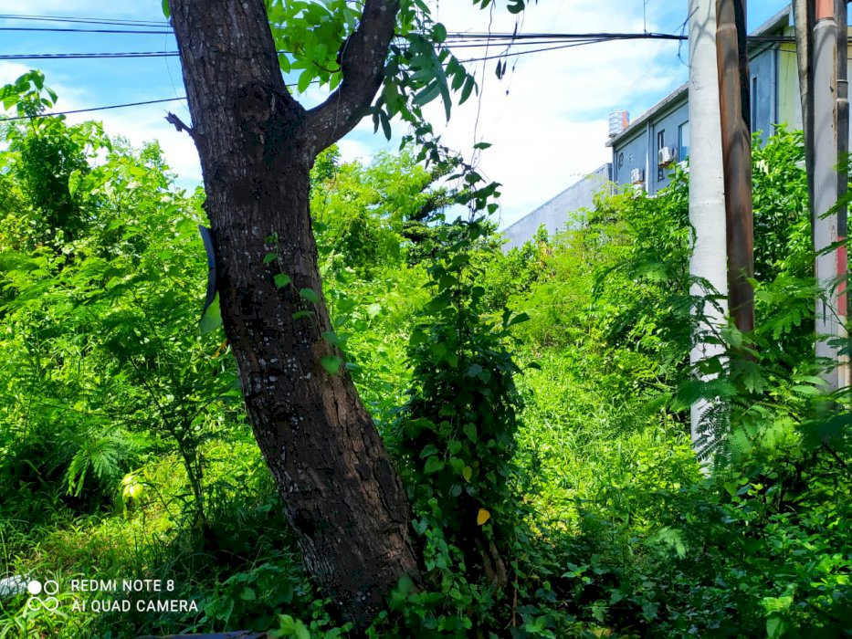 Disewakan tanah 28 are kerobokan