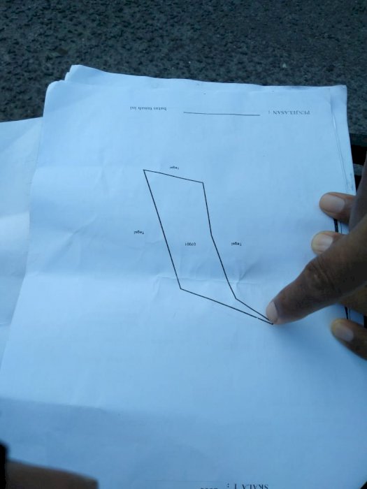 Tanah murah kebun sengon