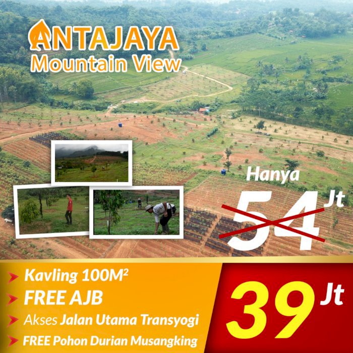 Kavling produktif hanya 39 jutaan!!
