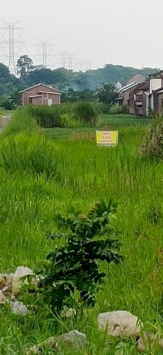 Dijual Tanah Kavling Lokasi Strategis di Desa Legok, Gempol, Pasuruan