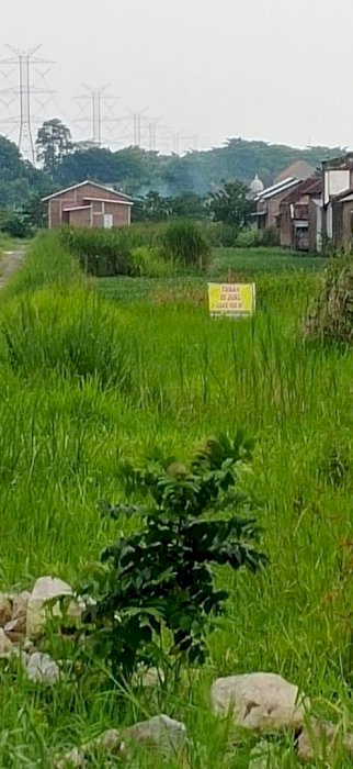 Dijual Tanah Kavling Lokasi Strategis di Desa Legok, Gempol, Pasuruan