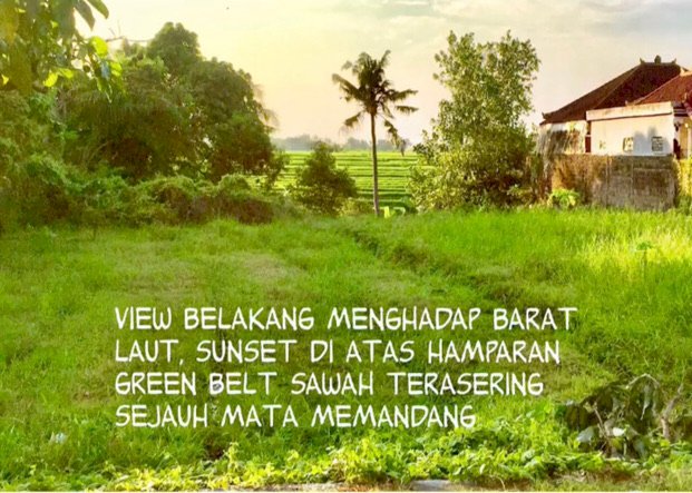 PRIME LOCATION LAND IN CANGGU 11,4 ARE