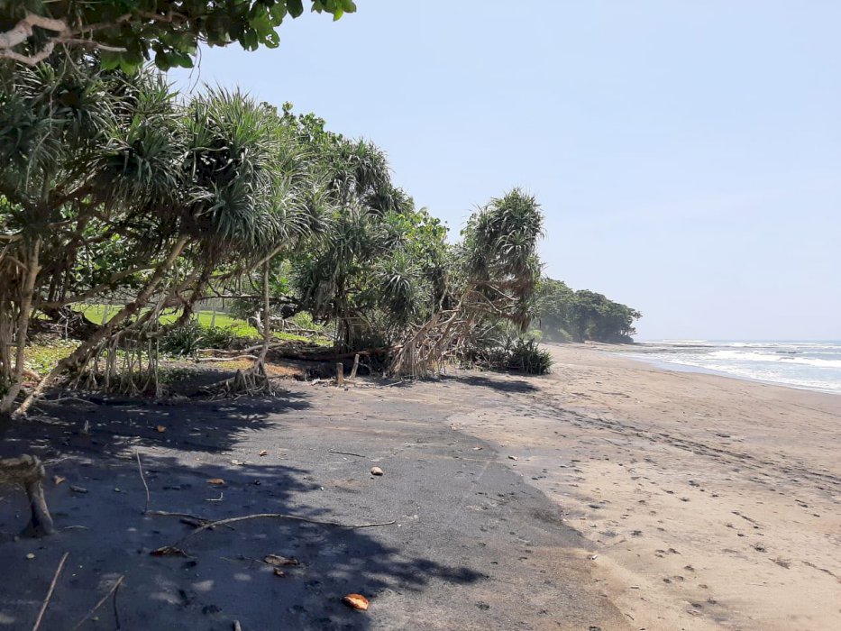 EXCELLENT DEVELOPMENT SITE AT MEDEWI BEACH 3,57 HA