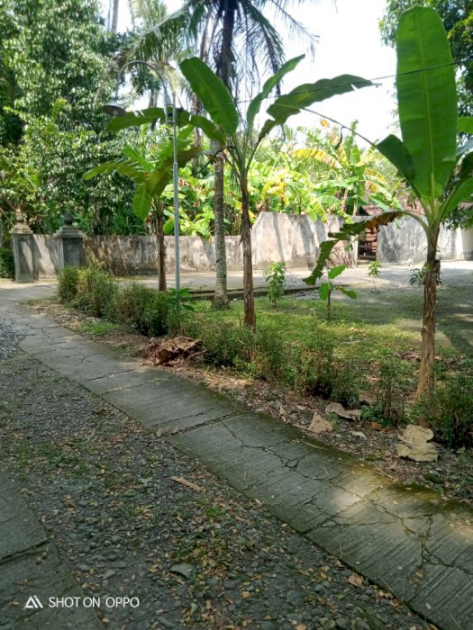 Tanah murah deket kota wates