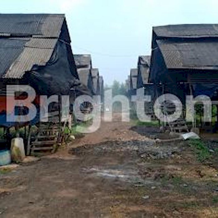 Tanah Belakang Perumahan Harvest.. Peruntukan Pertanian Lahan Basah