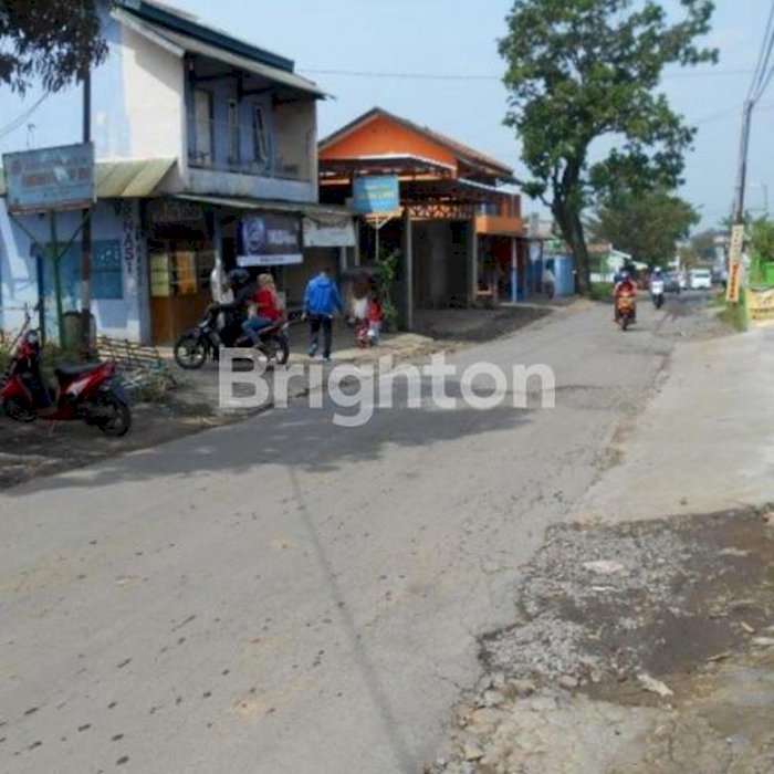 Sawah Produktif Warungkondang Cianjur