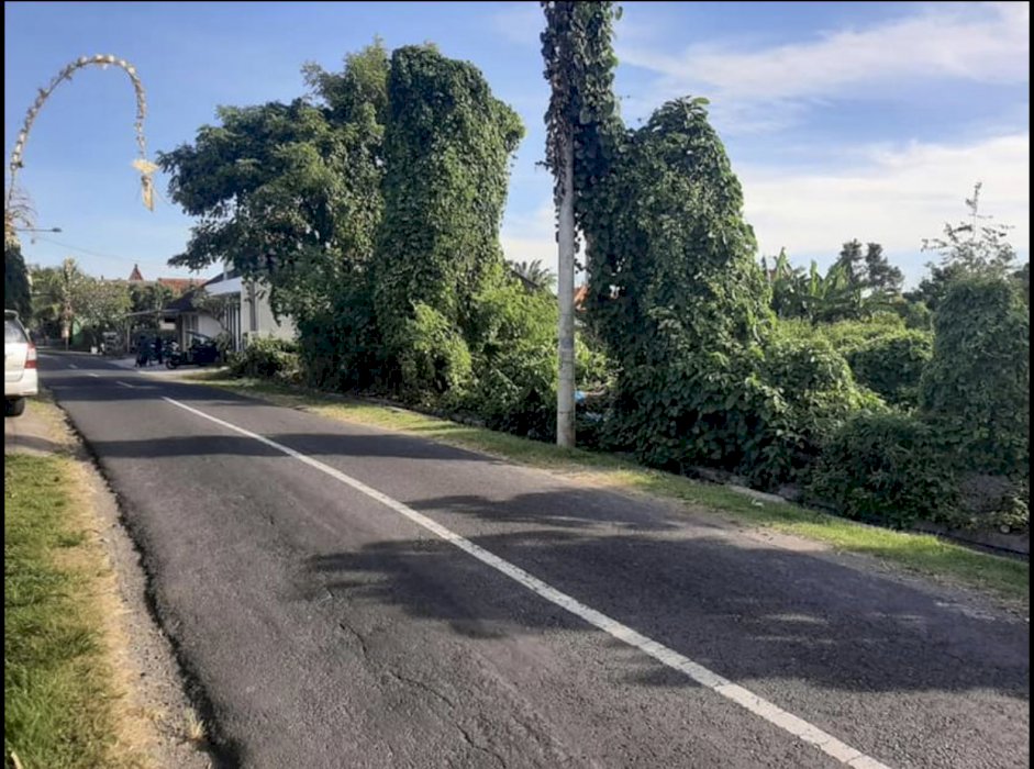 FREEHOLD LAND ONLY 200 METER FROM JUNCTION PERERENAN 44,5 ARE