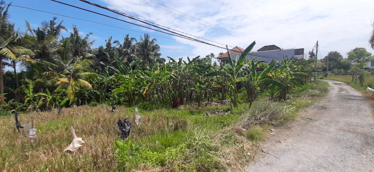 TANAH VIEW SAWAH DI PERERENAN 10,15ARE