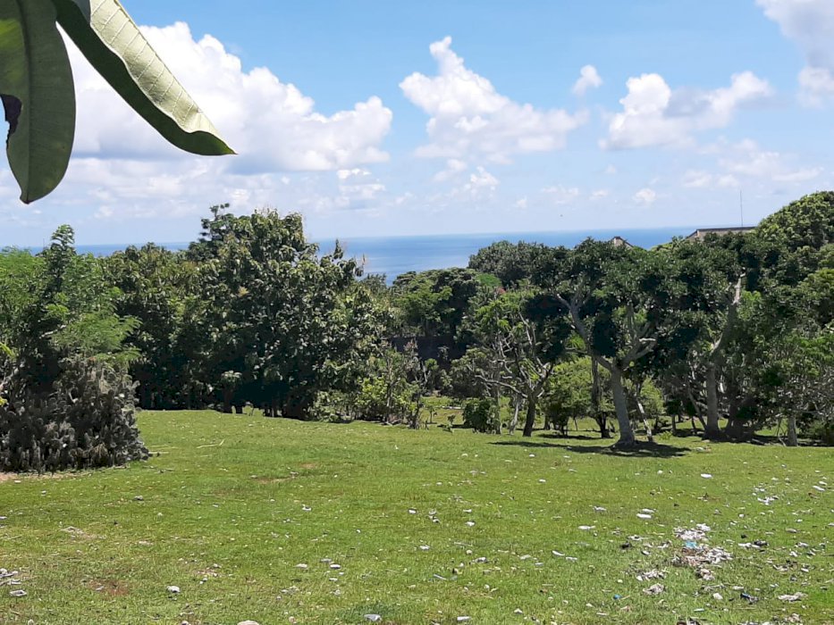 GREAT LAND NEXT TO BVLGARI RESORT 60 ARE